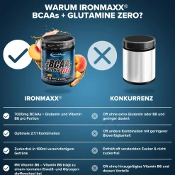 100% BCAAs + Glutamine Zero (500g)
