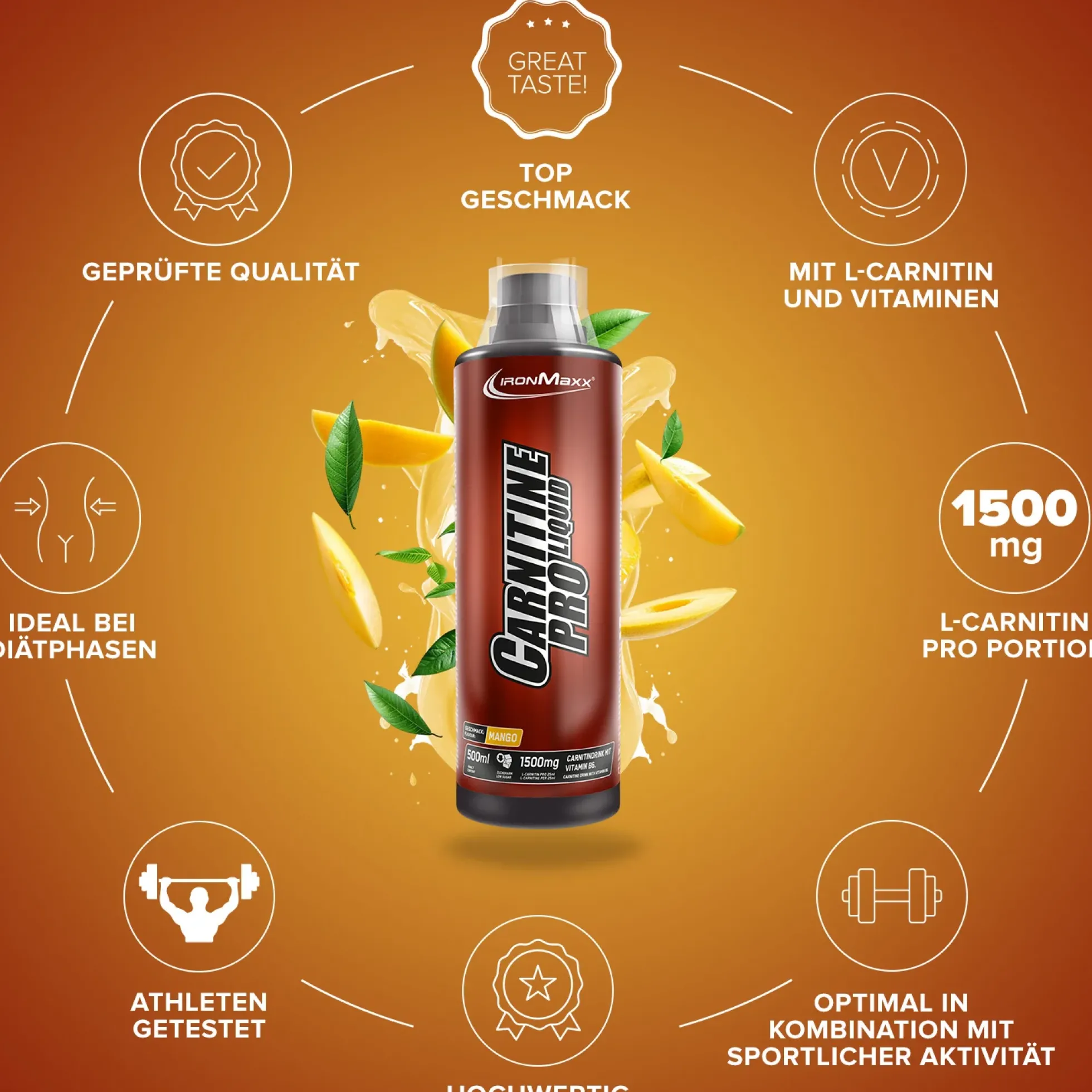 Carnitine Pro Liquid (500ml)