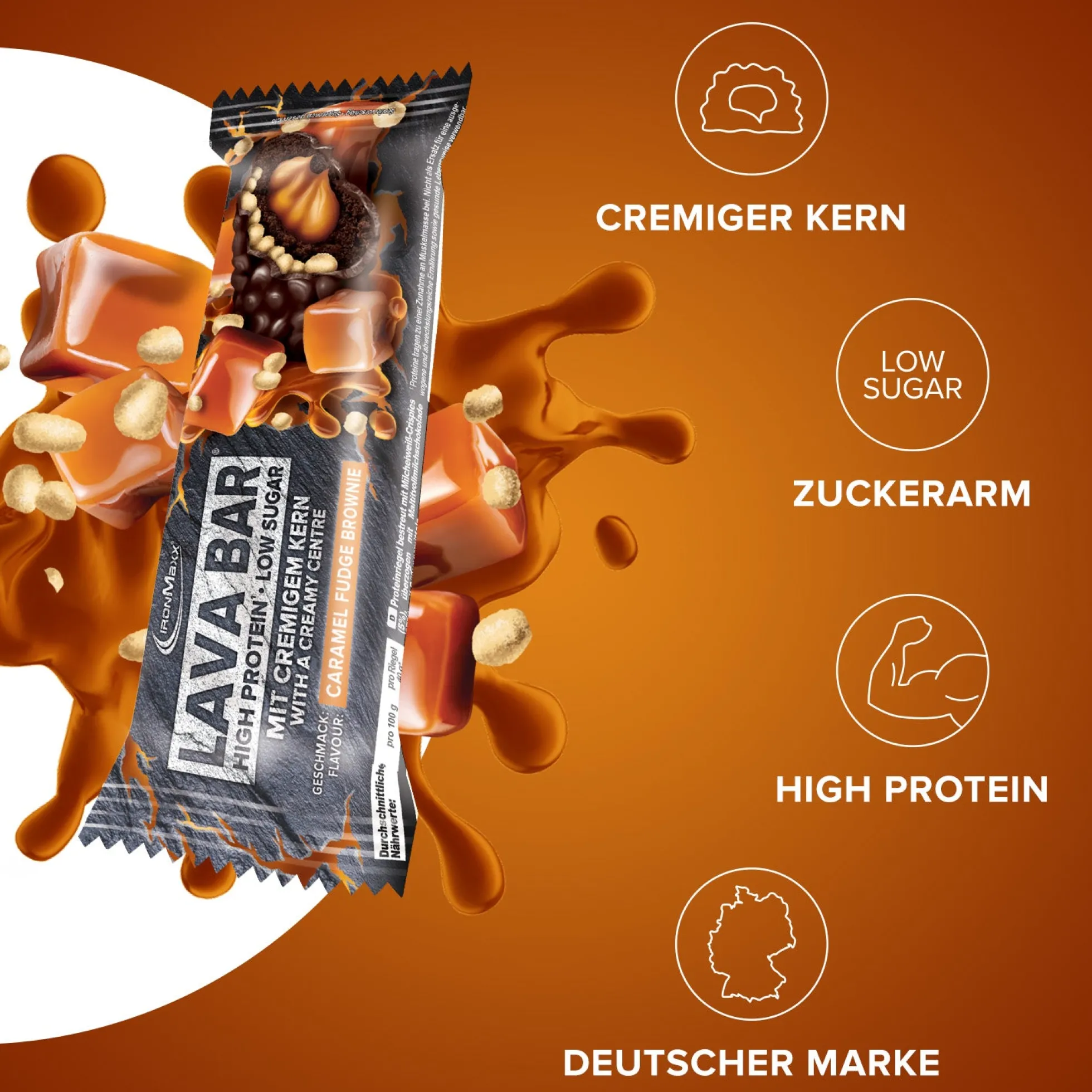 Protein Bar Discovery Bundle