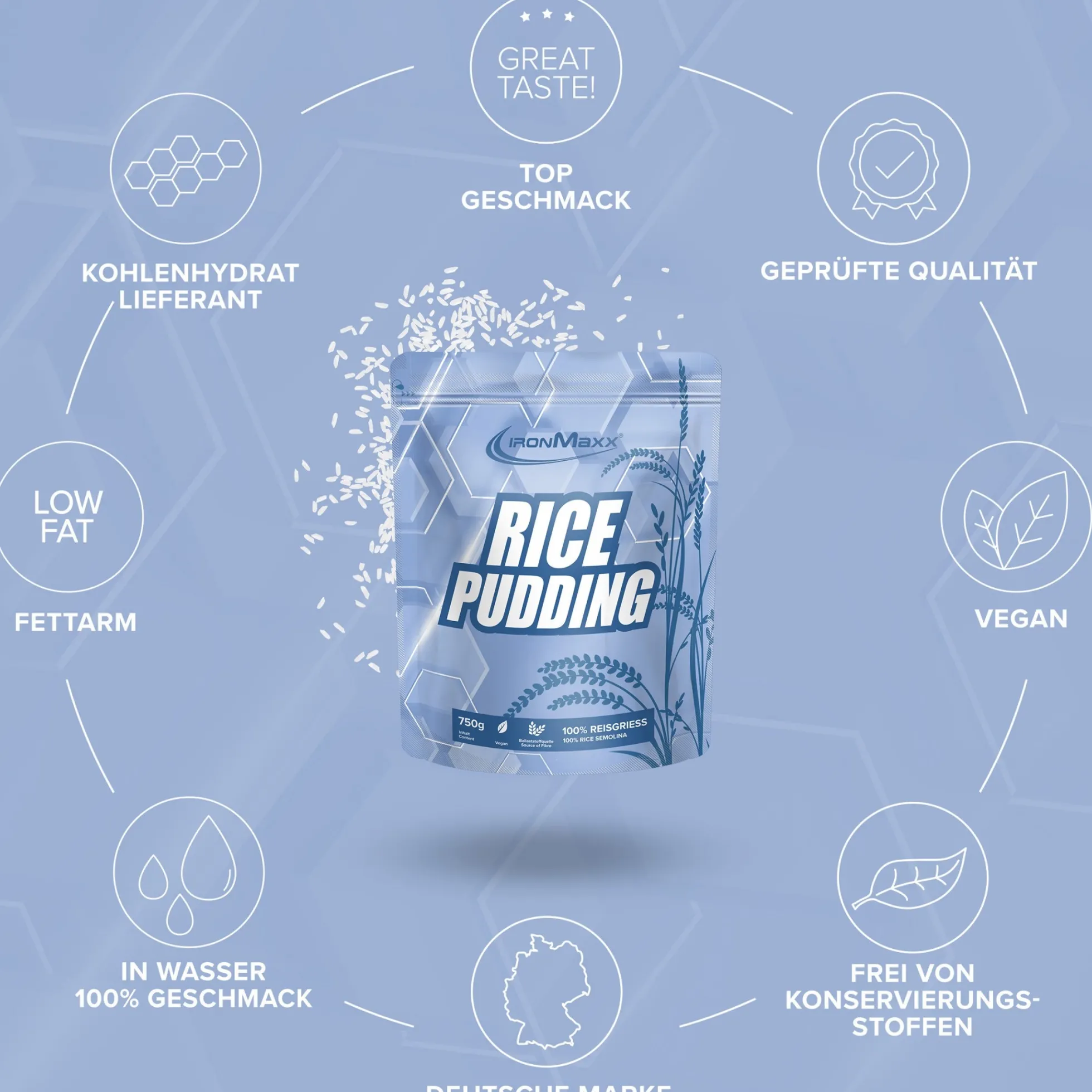 Rice Pudding (750g)