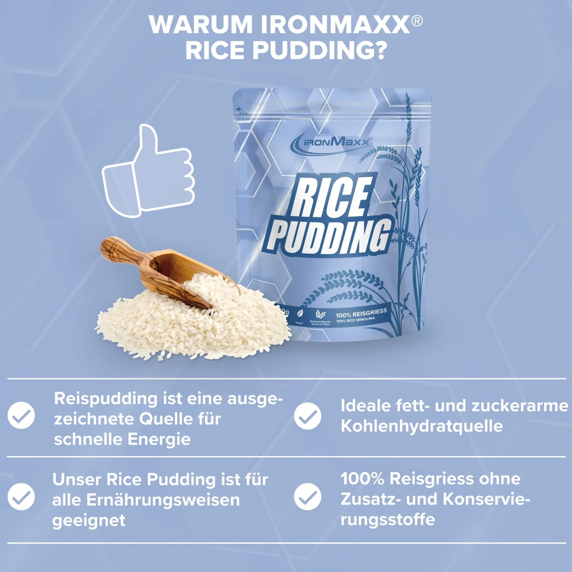 Rice Pudding (750g)