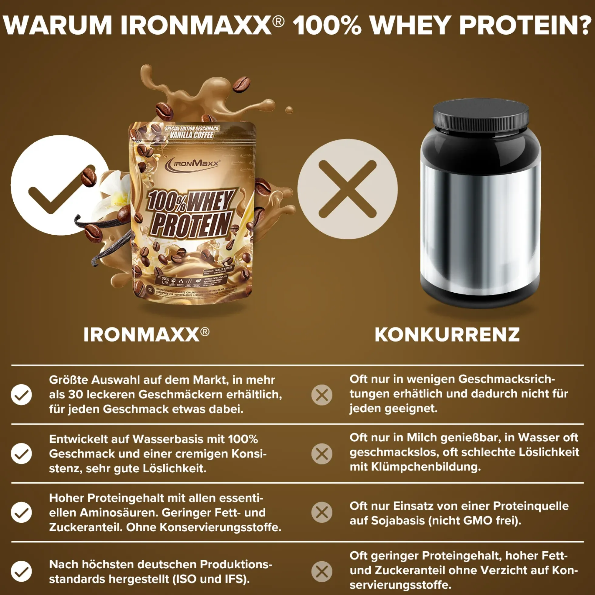 100% Whey Protein (500g)