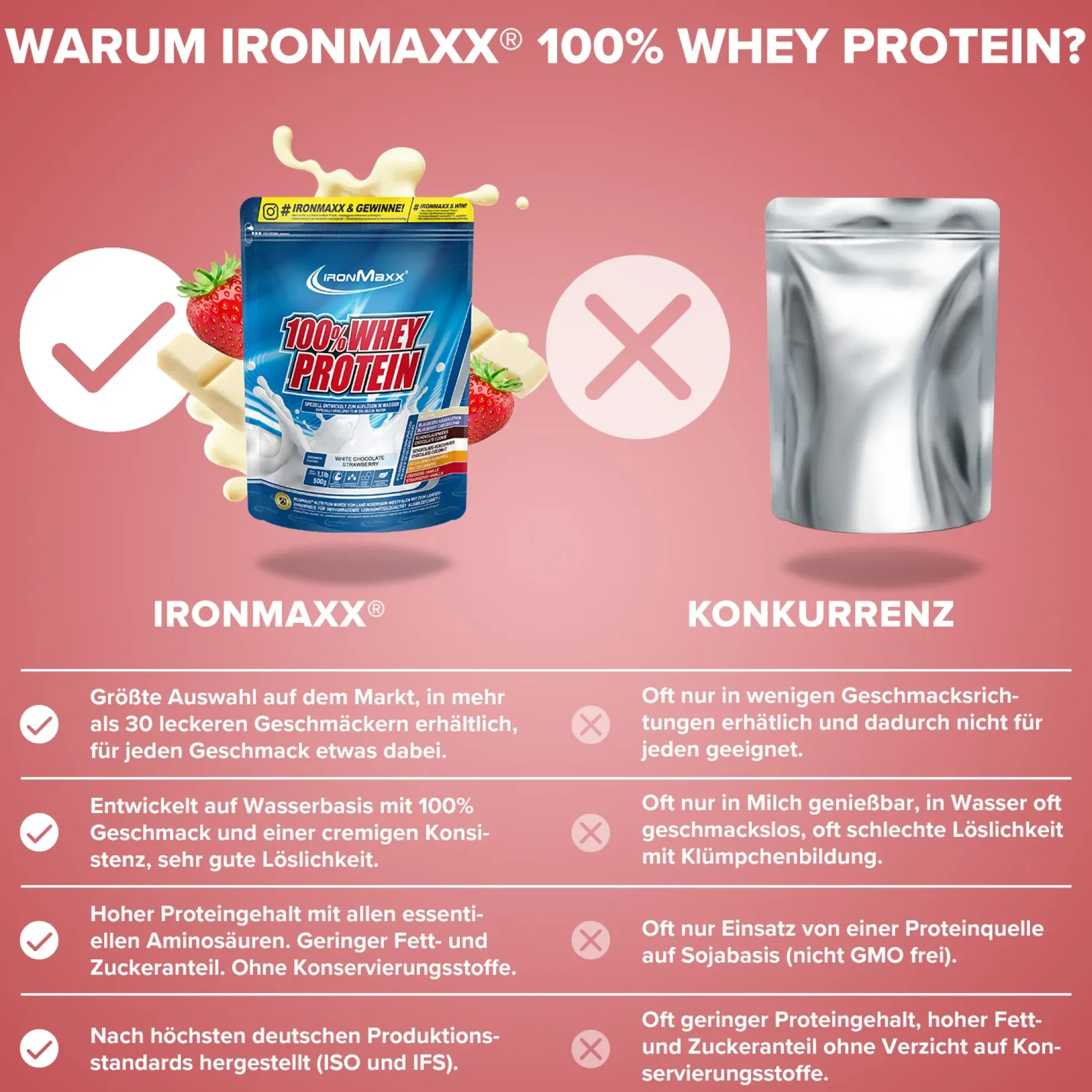 100% Whey Protein (500g)