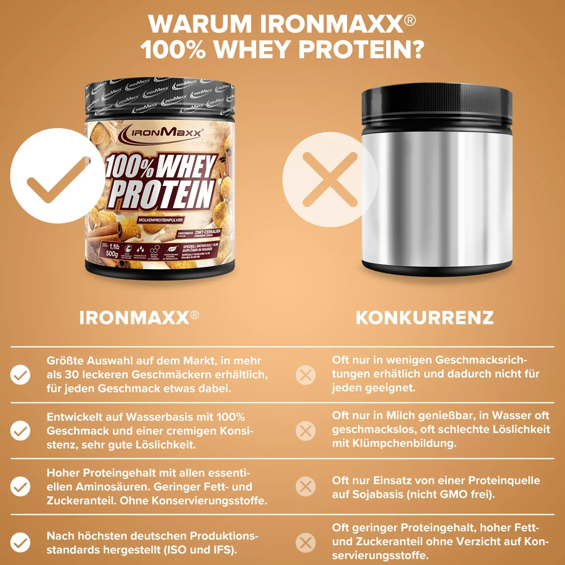 100% Whey Protein (500g)
