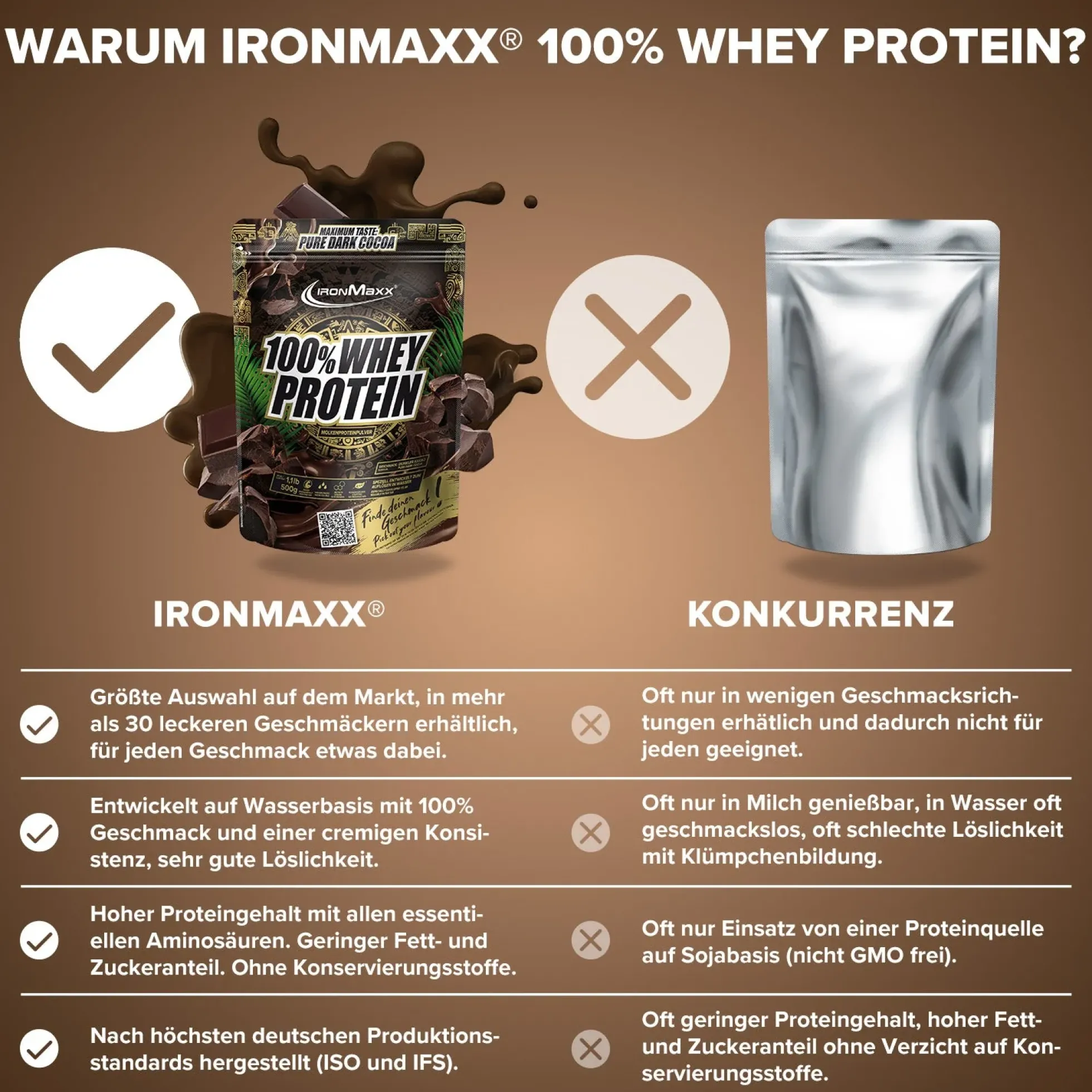 100% Whey Protein (500g)