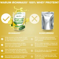 100% Whey Protein (500g)
