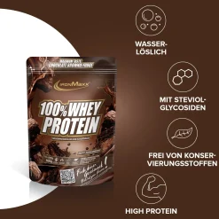 100% Whey Protein (500g)