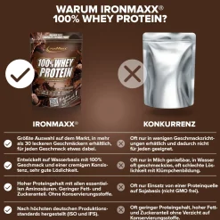 100% Whey Protein (500g)