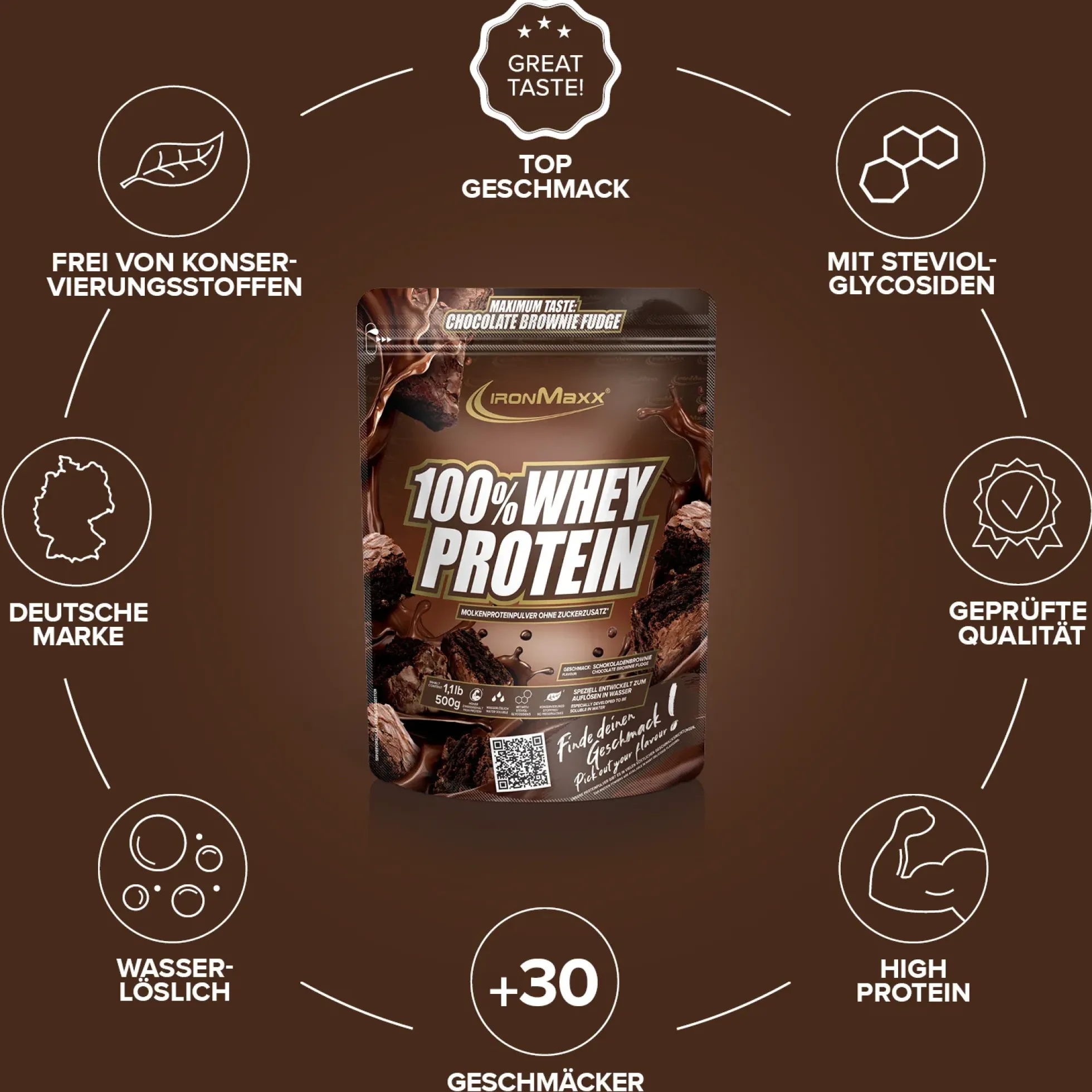 100% Whey Protein (500g)