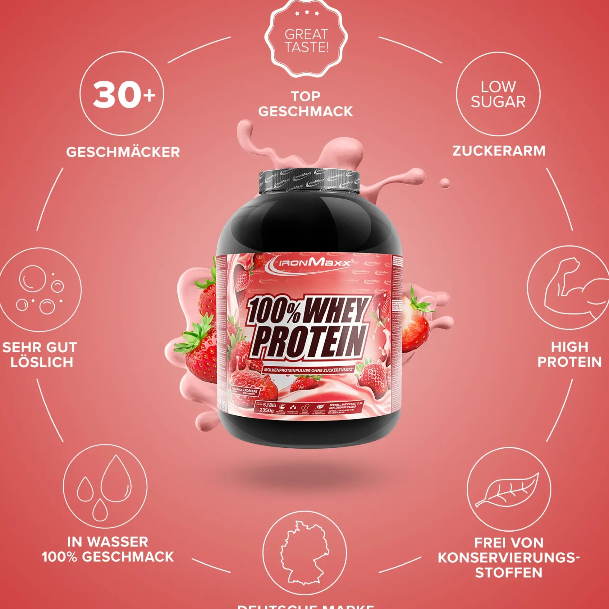 100% Whey Protein (2350g)