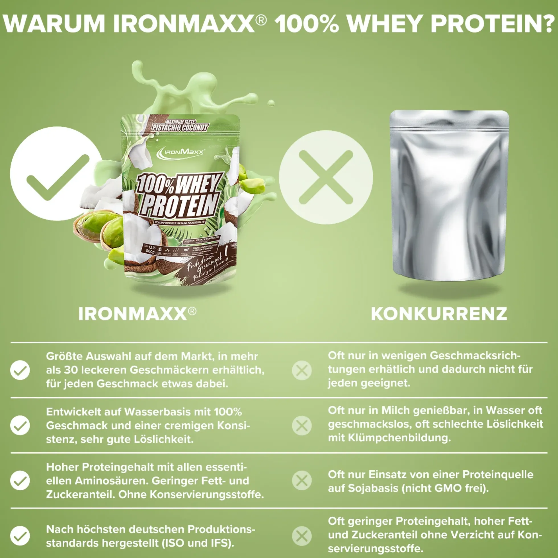 100% Whey Protein (500g)