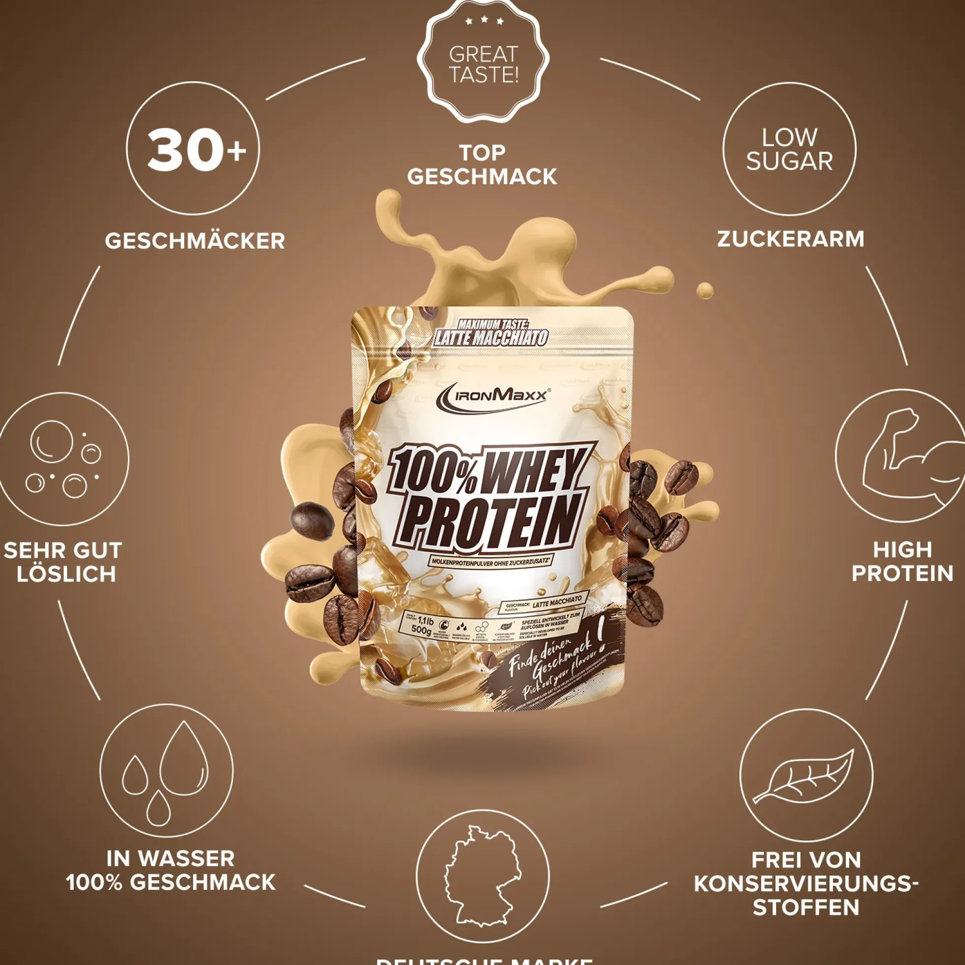 100% Whey Protein (500g)