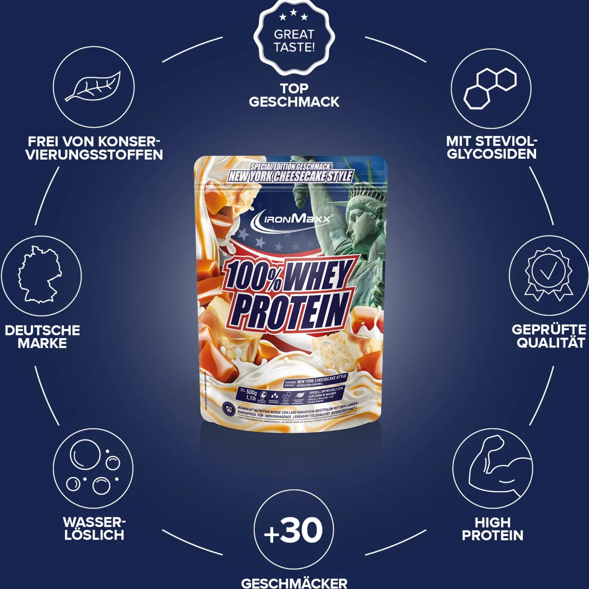 100% Whey Protein (500g)