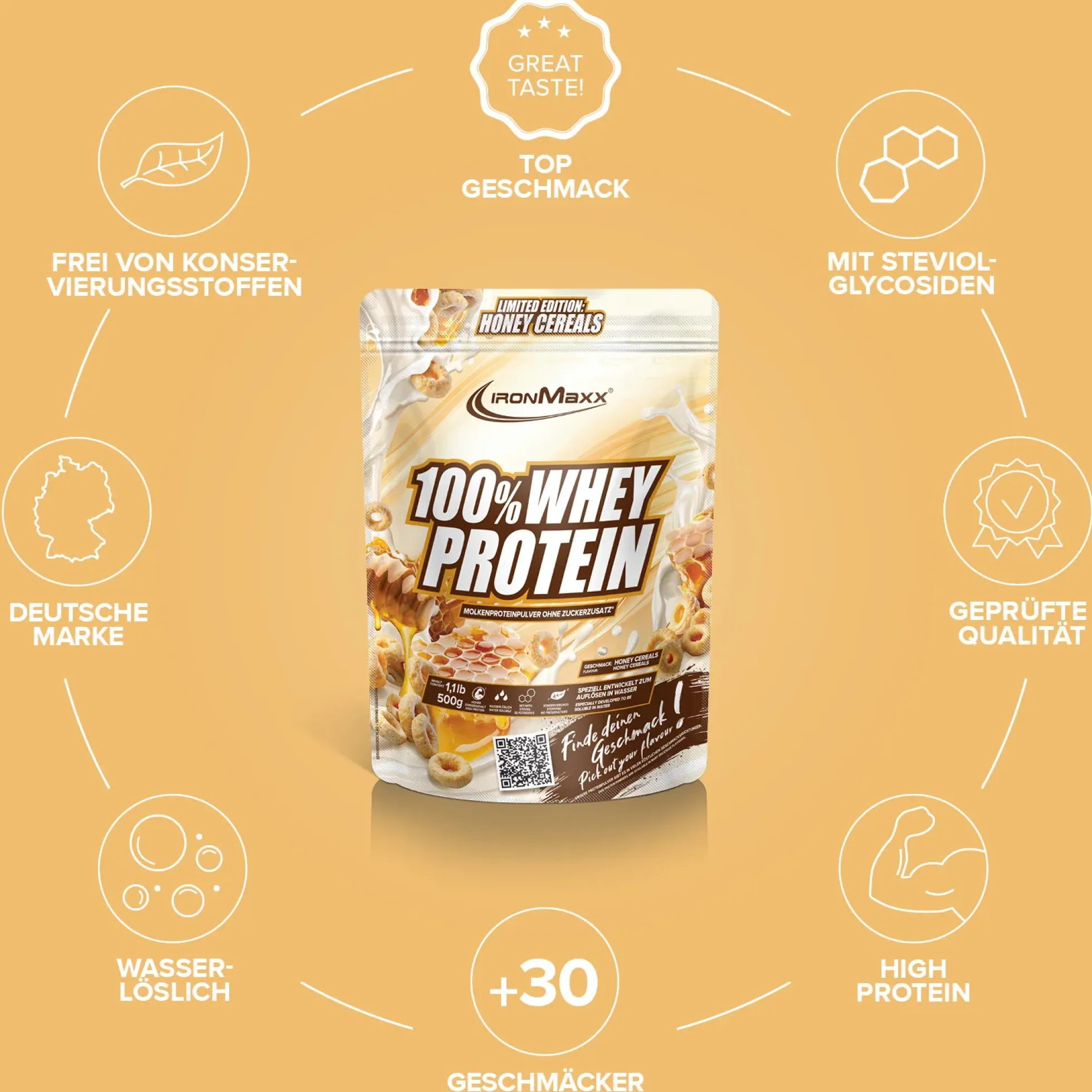 100% Whey Protein (500g)