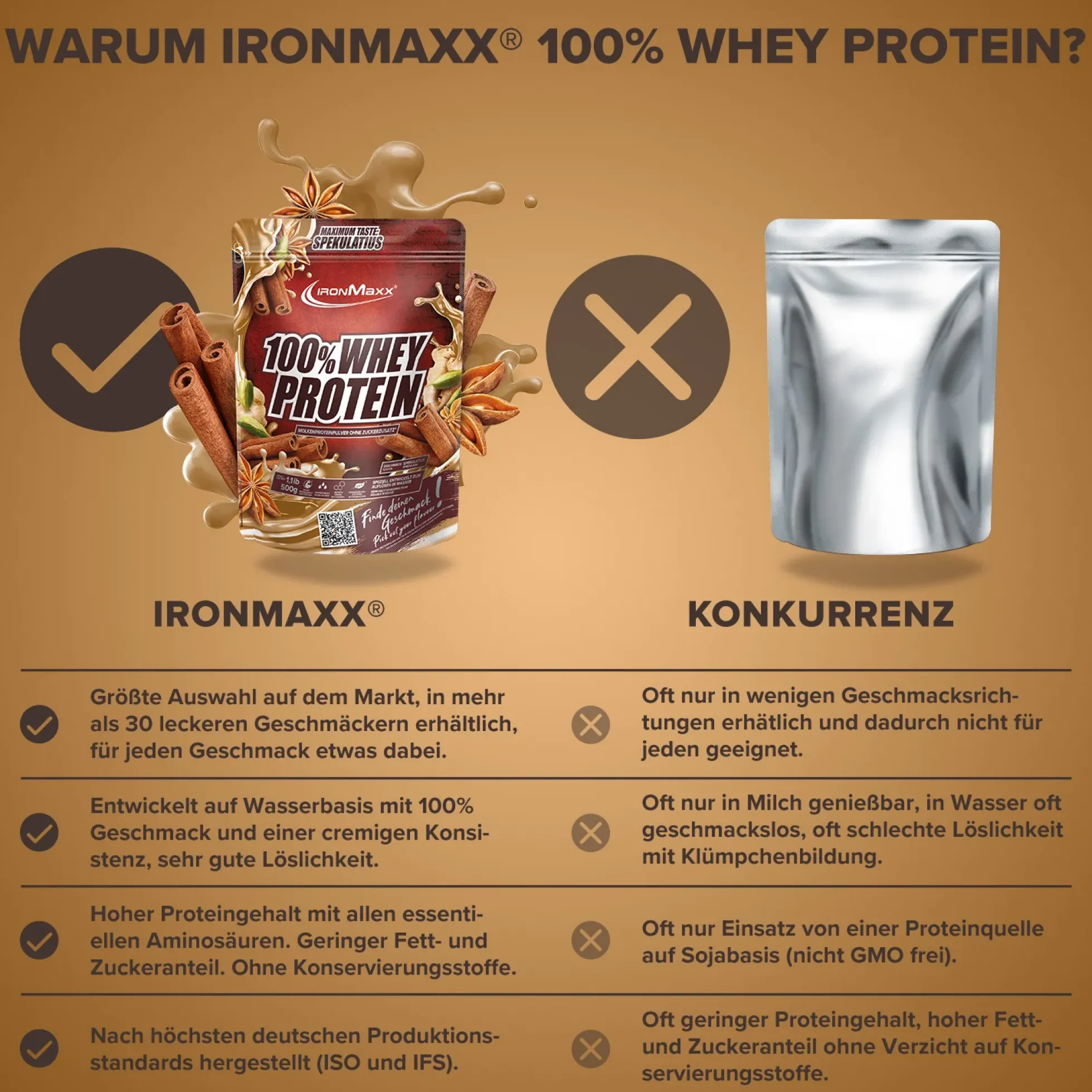100% Whey Protein (500g)