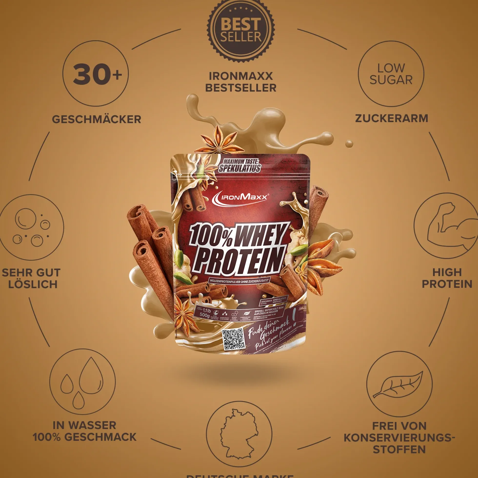 100% Whey Protein (500g)