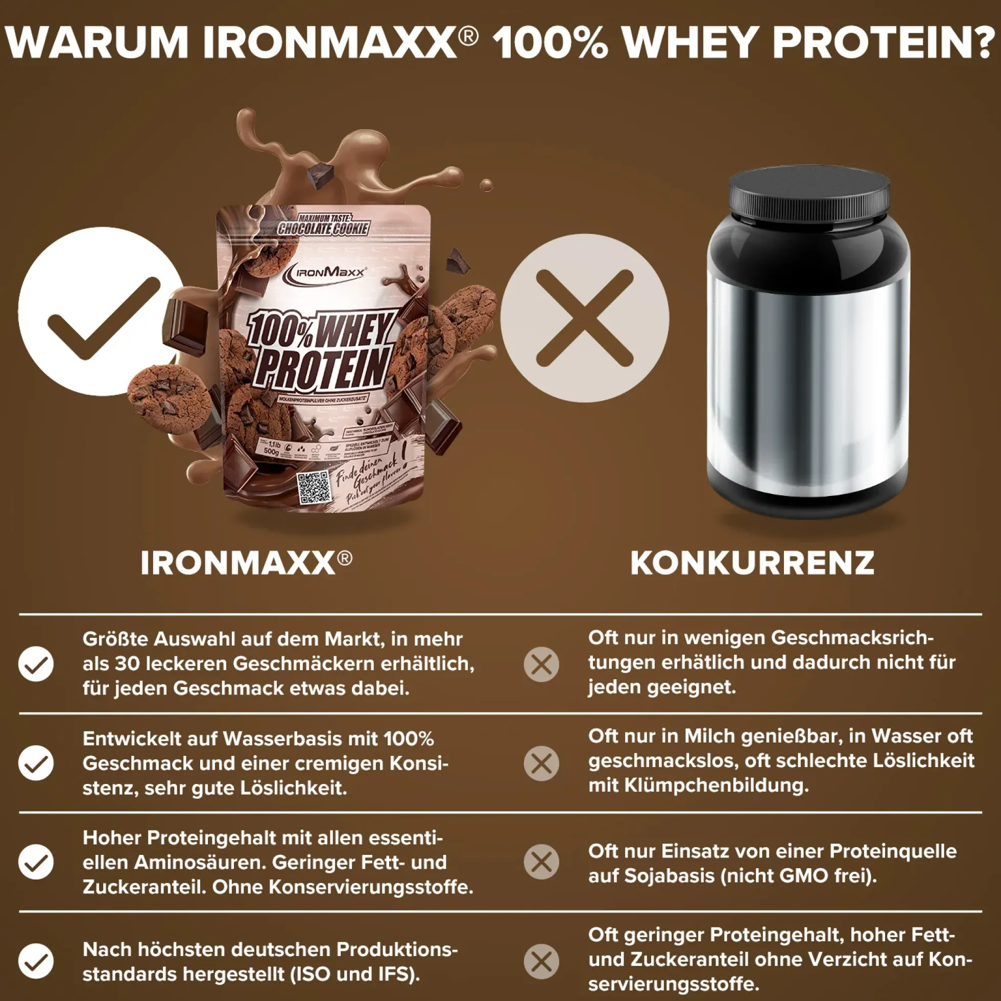 100% Whey Protein (500g)