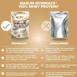 100% Whey Protein (500g)