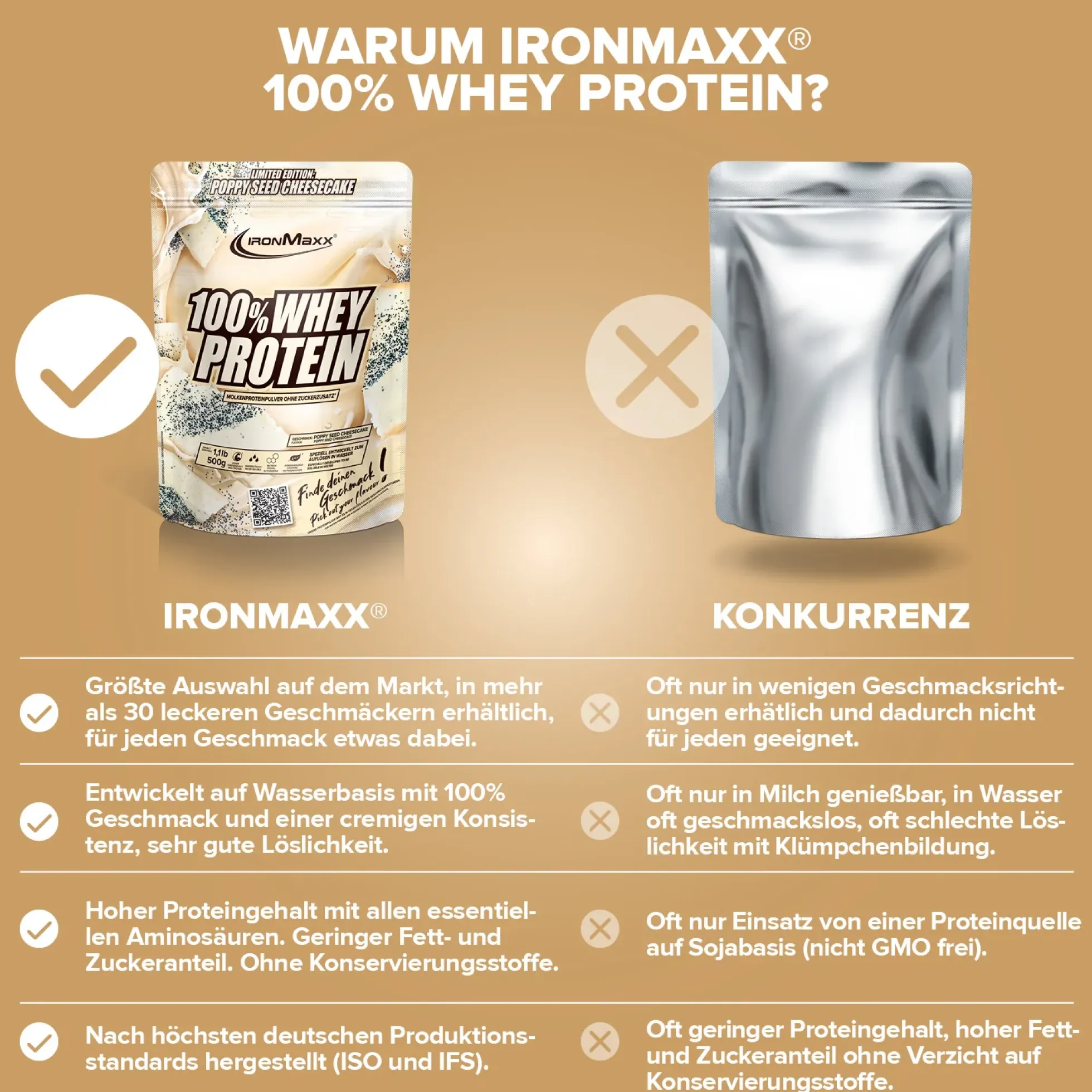 100% Whey Protein (500g)