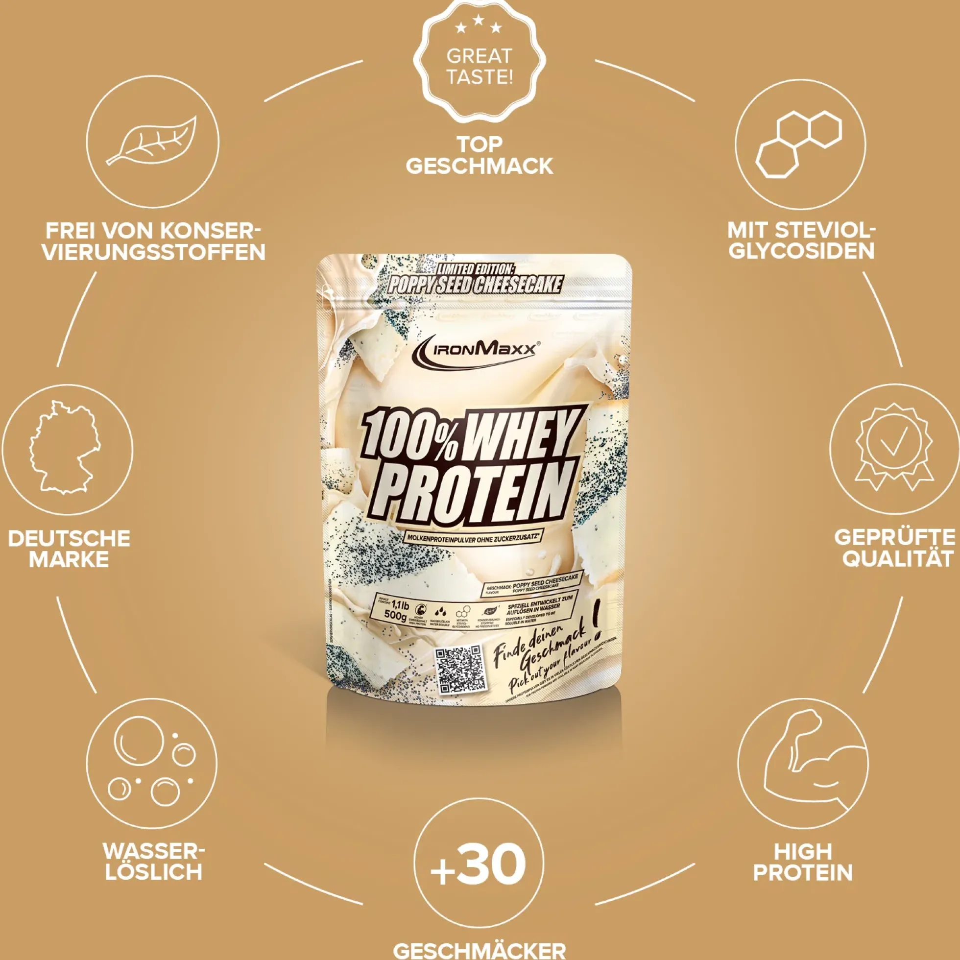 100% Whey Protein (500g)