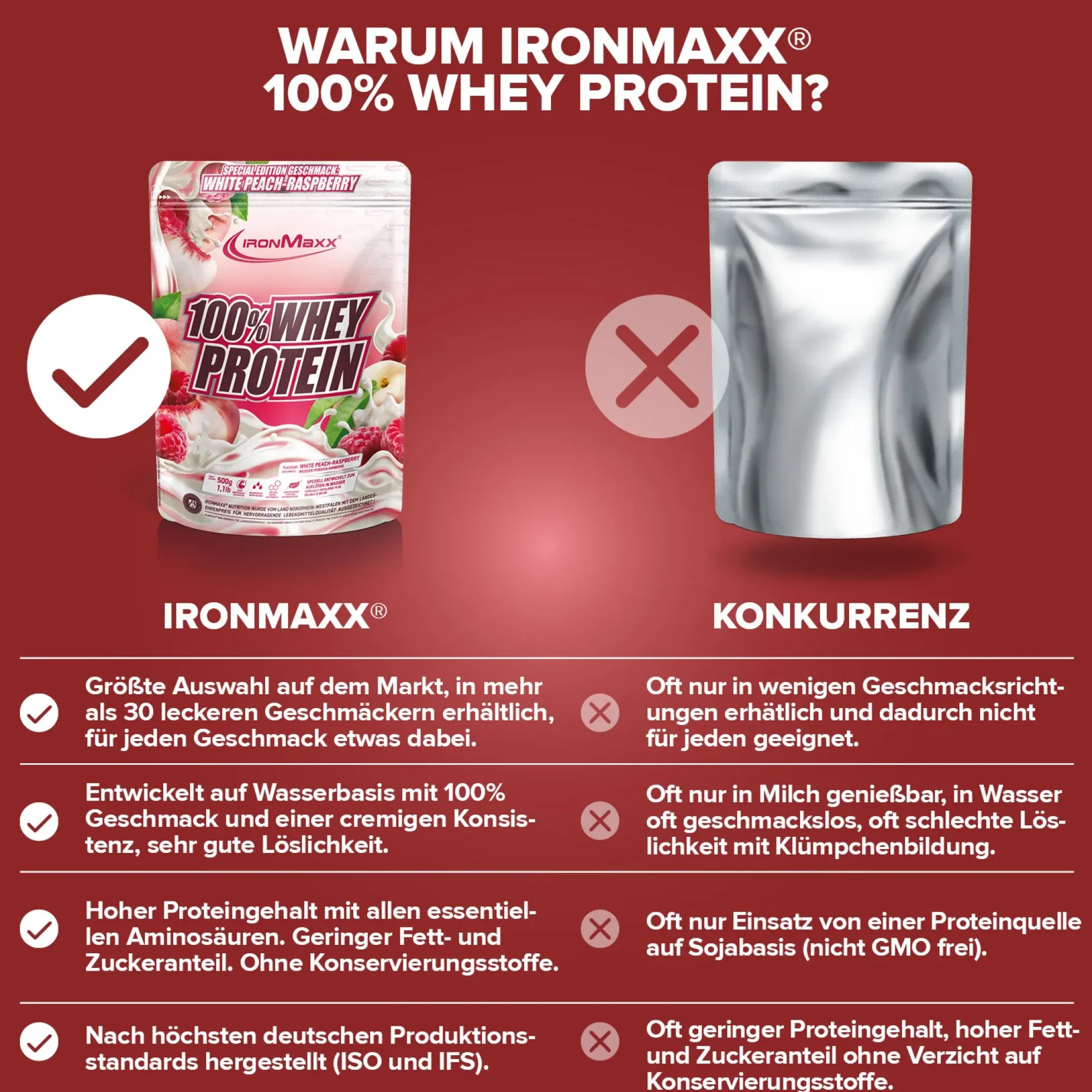 100% Whey Protein (500g)