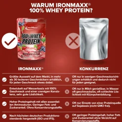 100% Whey Protein (500g)