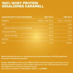 100% Whey Protein (500g)