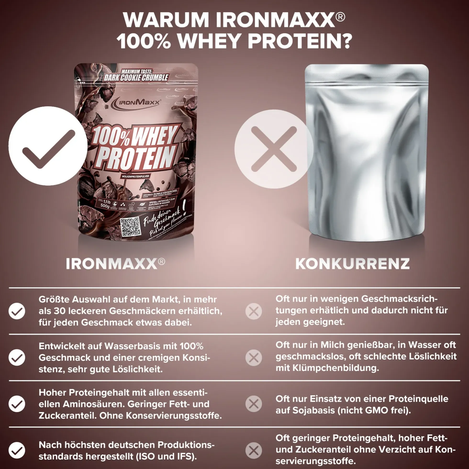 100% Whey Protein (500g)
