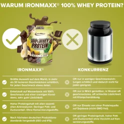 100% Whey Protein (500g)