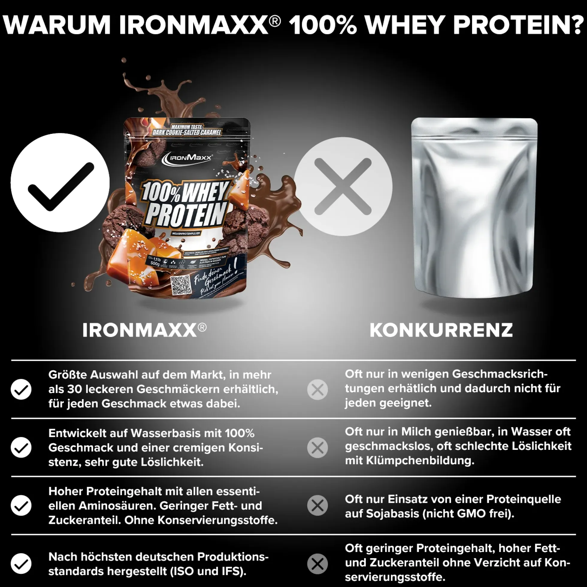 100% Whey Protein (500g)