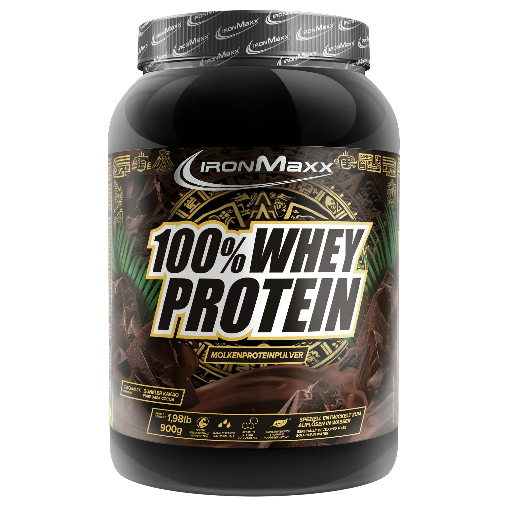100% Whey Protein (900g)