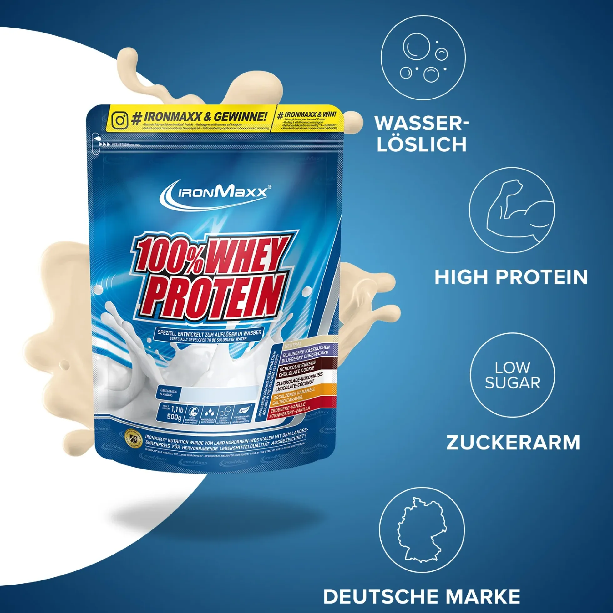 100% Whey Protein (500g)
