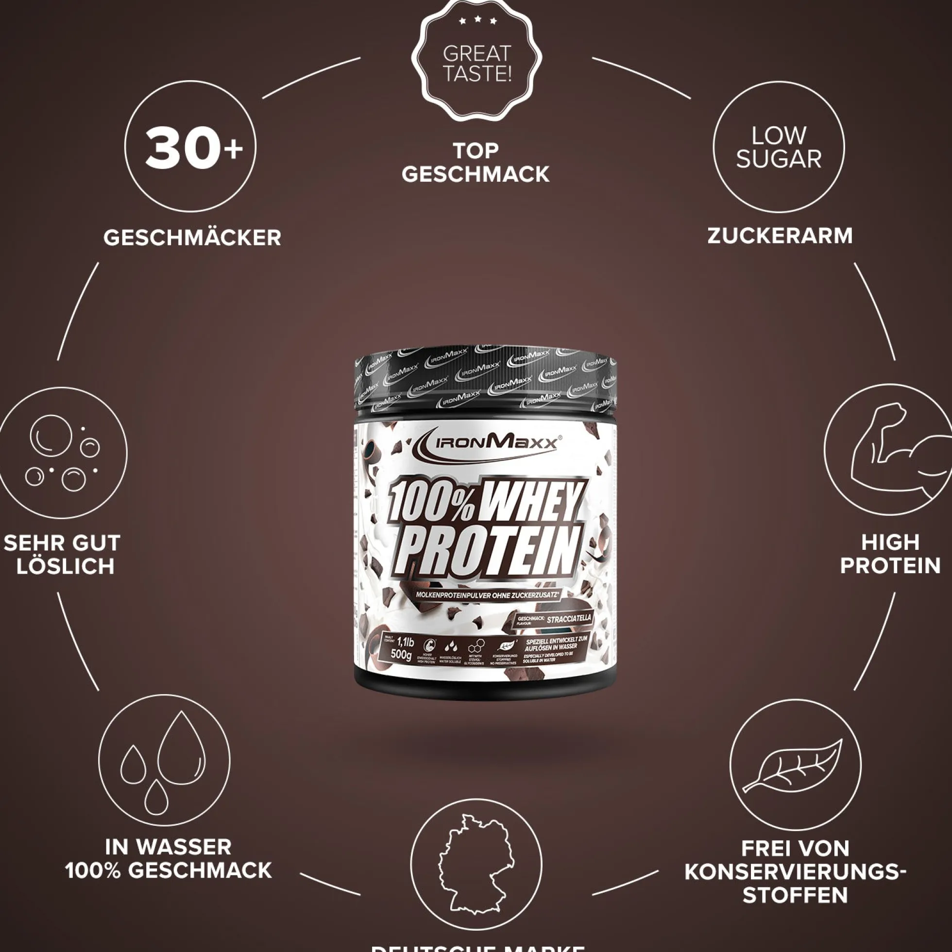 100% Whey Protein (500g)