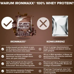 100% Whey Protein (10x30g)